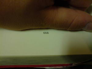 Seite 666 aus meinem Buch